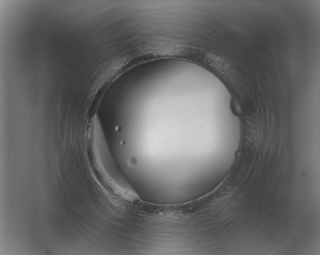 X0000063440586200602031743