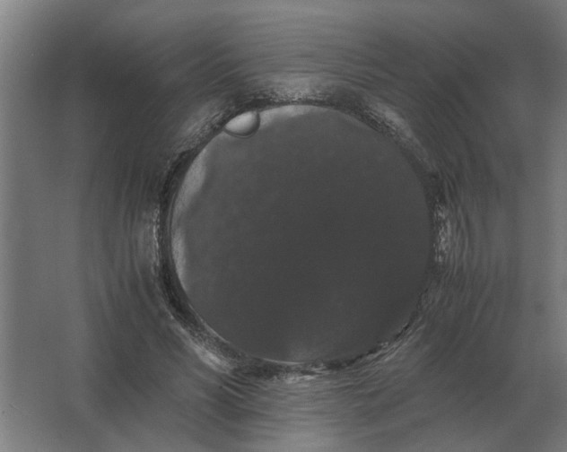 X0000063440590200602031743
