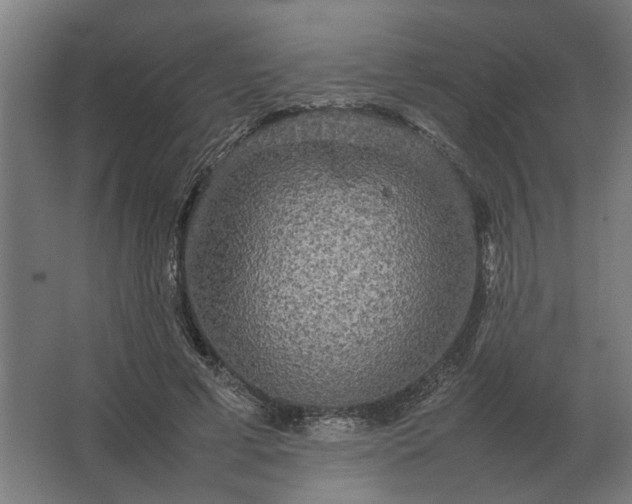 X0000063440593200602031743