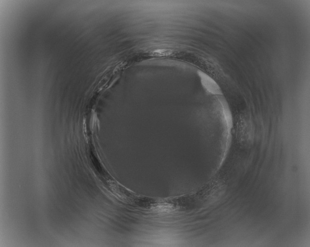 X0000063440598200602031743
