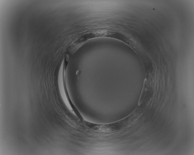 X0000063440601200602031743