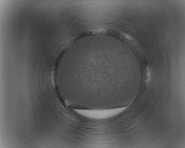 X0000063440604200602031743