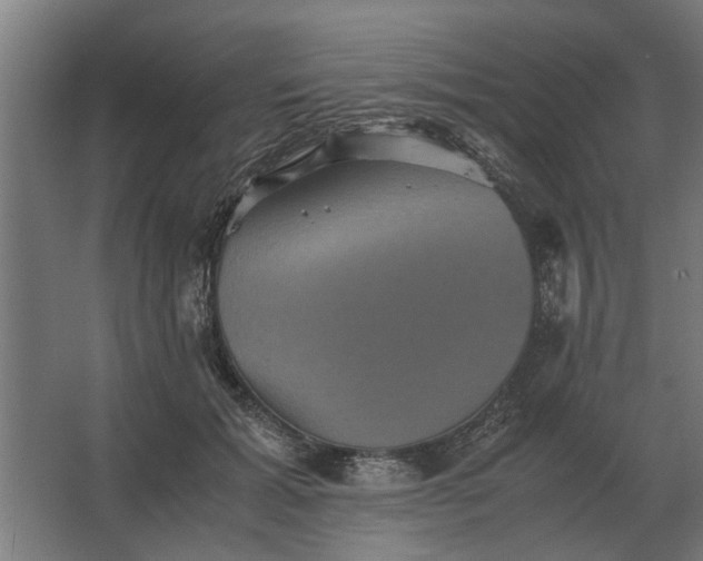 X0000063440605200602031743