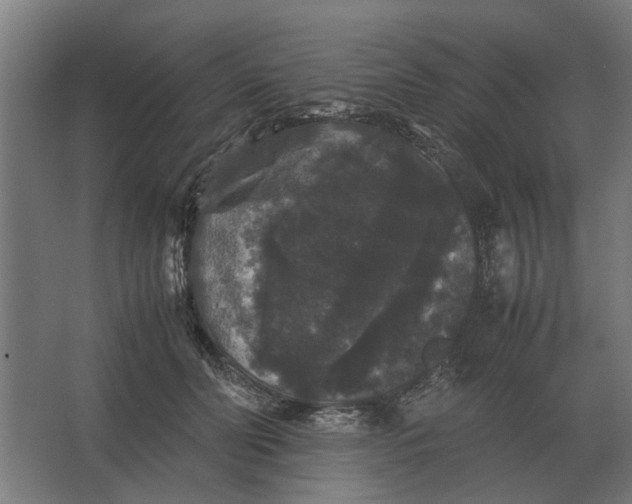 X0000063440606200602031743