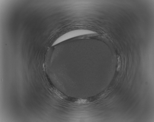 X0000063440609200602031743