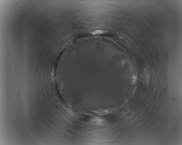 X0000063440610200602031743