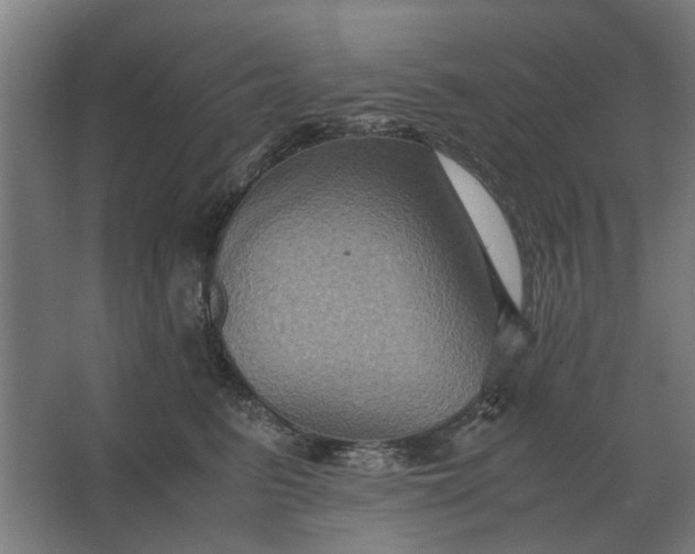 X0000063440615200602031743