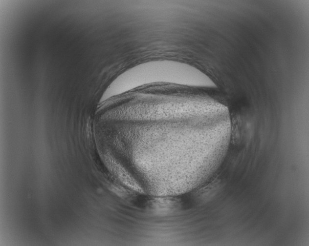 X0000063440623200602031743