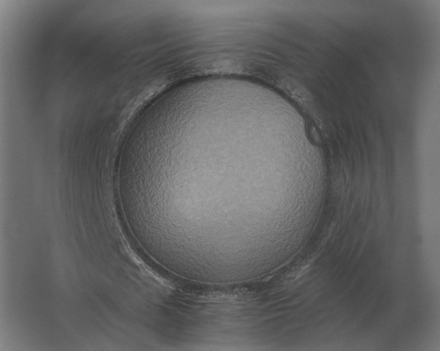 X0000063440625200602031742