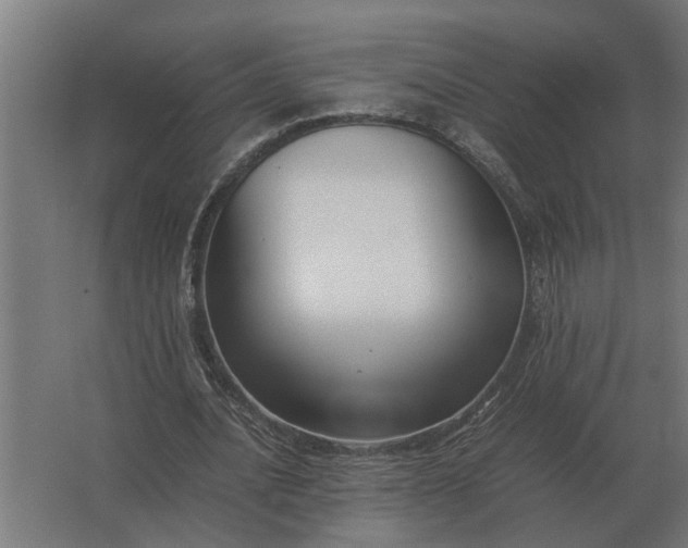 X0000063440628200602031742