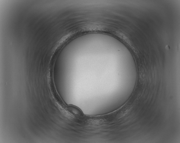 X0000063440629200602031742