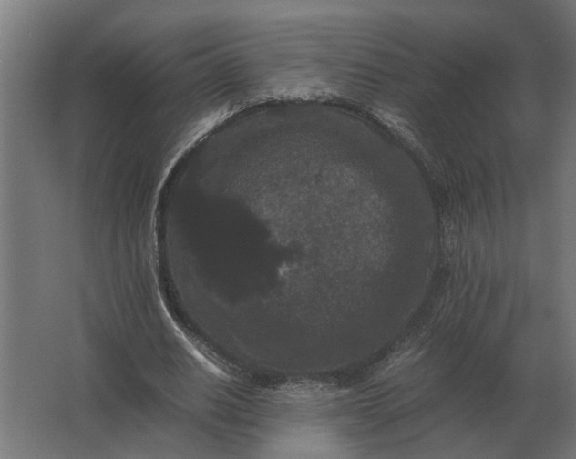 X0000063440630200602031742