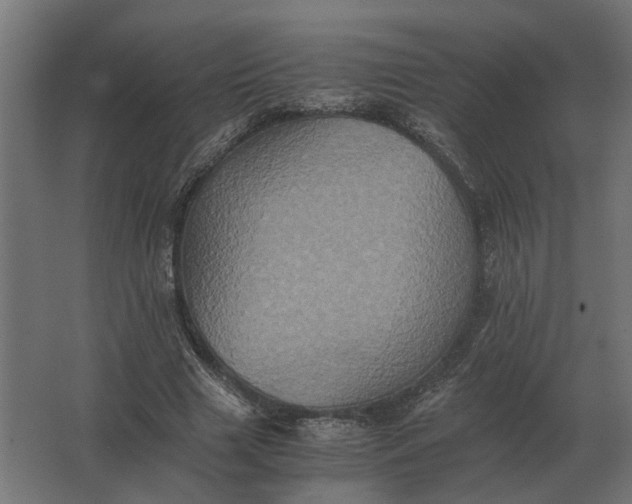 X0000063440633200602031742