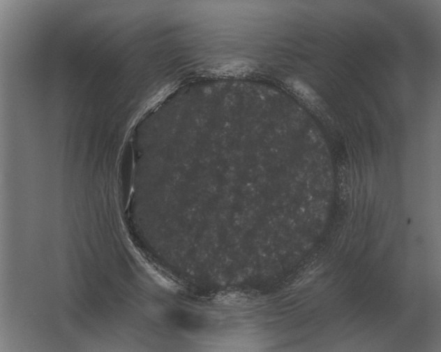 X0000063440634200602031742