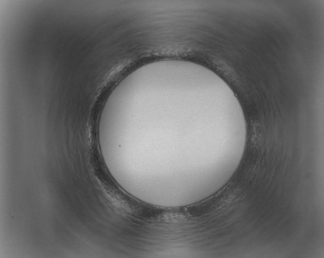 X0000063440636200602031742