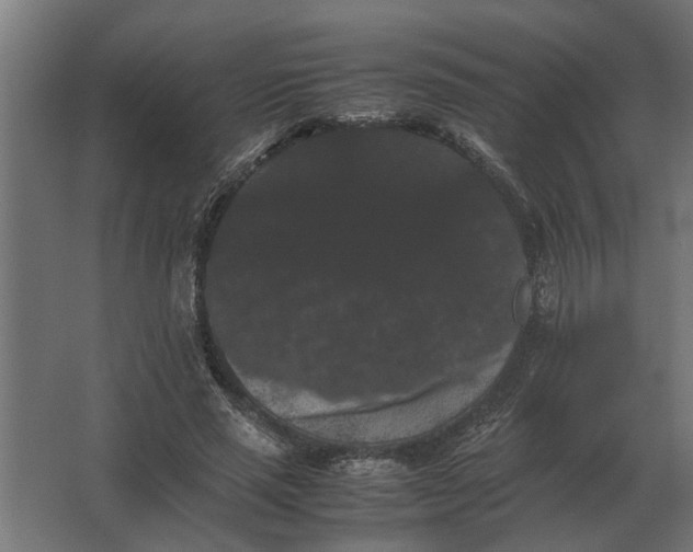X0000063440637200602031742