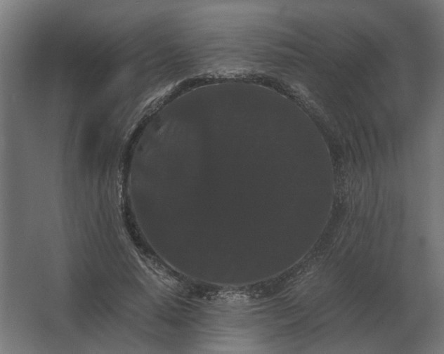 X0000063440640200602031742