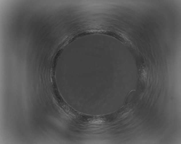 X0000063440643200602031742