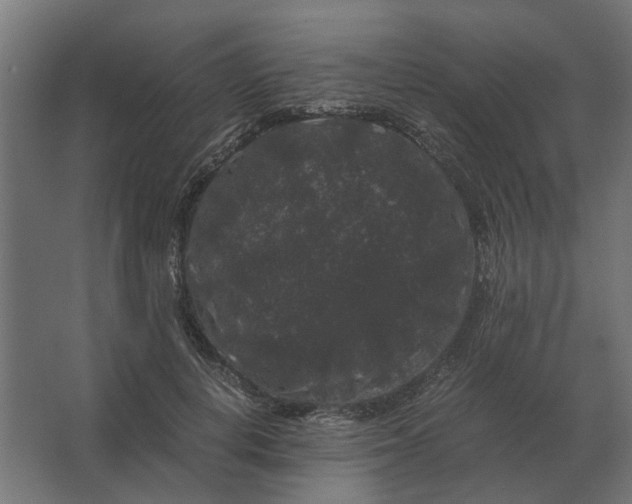X0000063440648200602031742