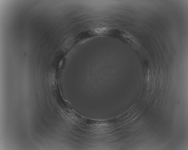 X0000063440651200602031742