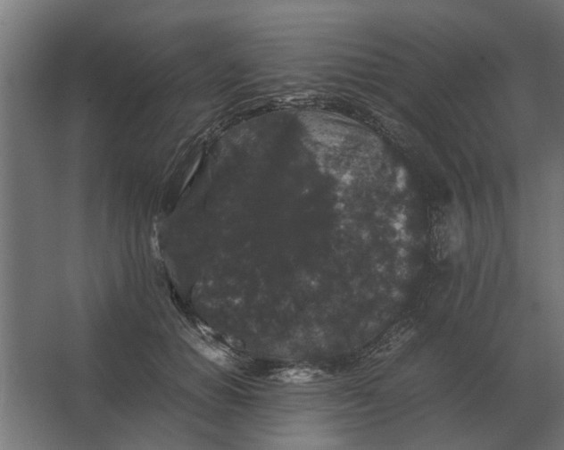 X0000063440654200602031742