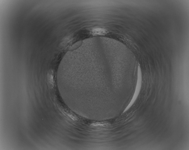 X0000063440655200602031742
