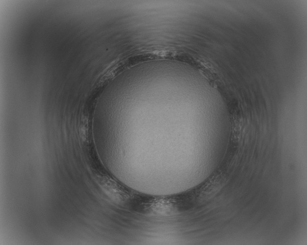 X0000063440656200602031742