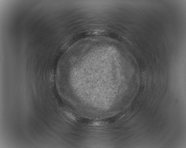 X0000063440657200602031743