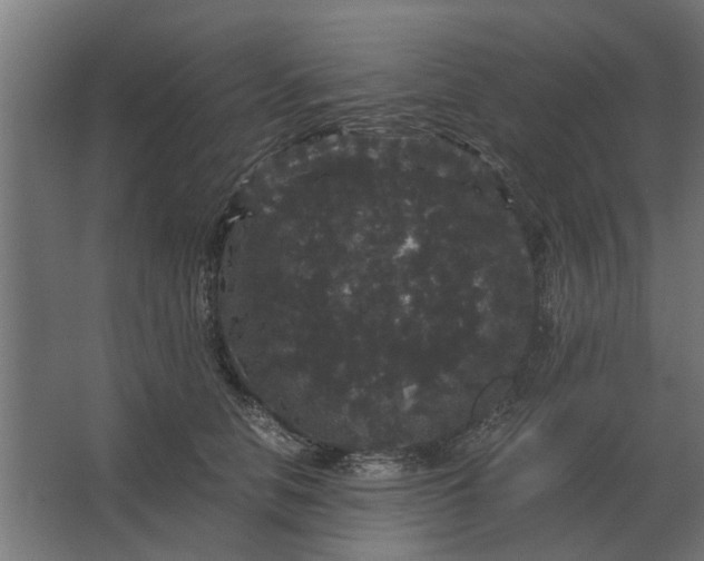 X0000063440658200602031743