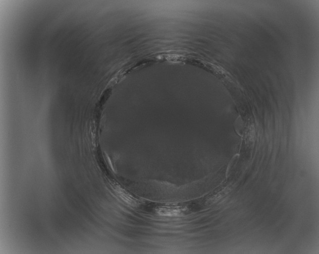 X0000063440661200602031743