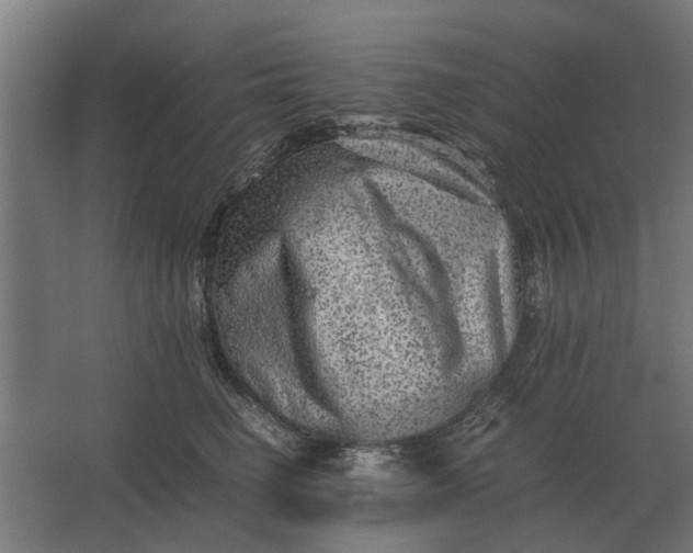 X0000063440662200602031743