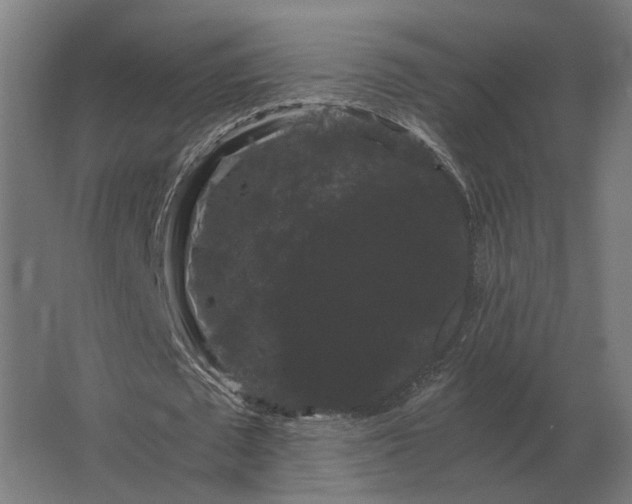 X0000063440673200602031742