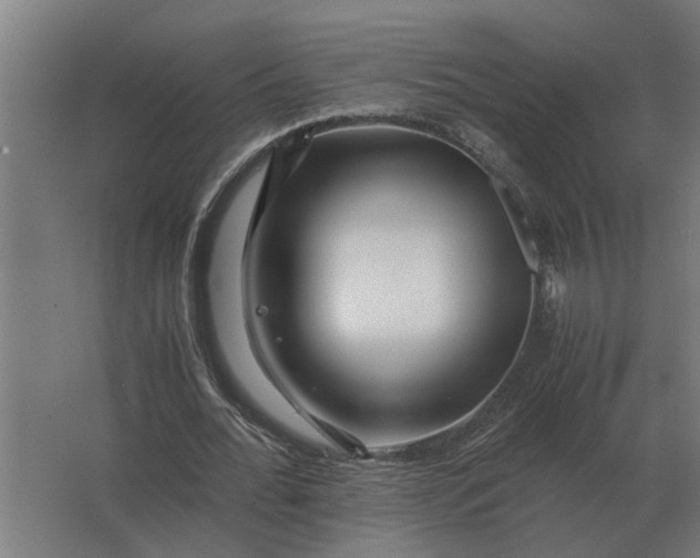 X0000063440676200602031742