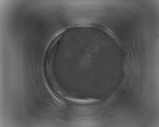 X0000063440677200602031742