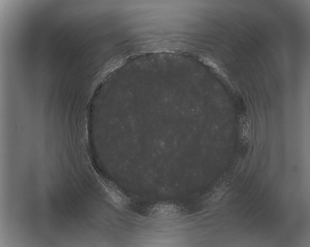 X0000063440685200602031742
