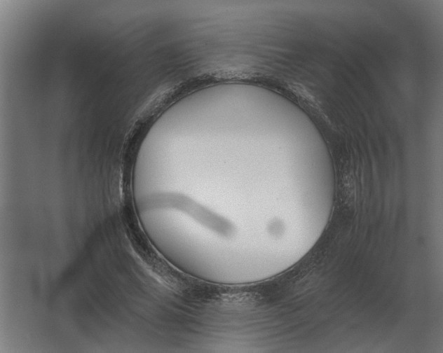 X0000063440686200602031742