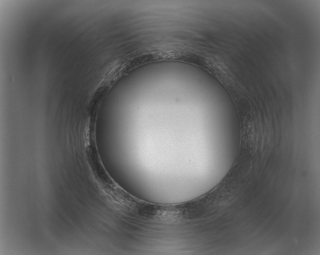 X0000063440694200602031742