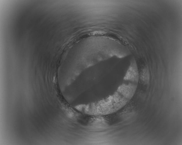 X0000063440715200602031741