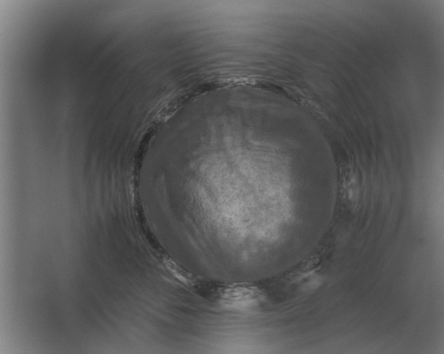 X0000063440716200602031741