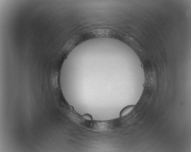X0000063440717200602031741