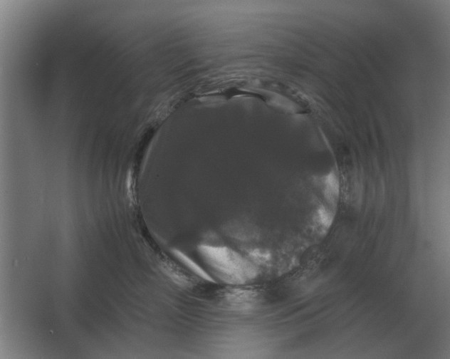 X0000063440718200602031741