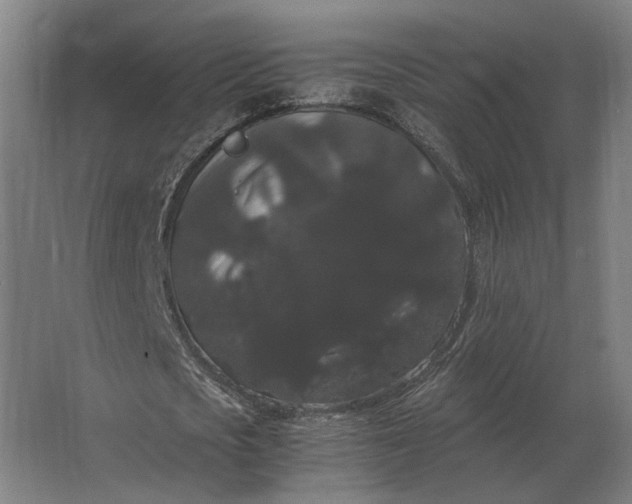 X0000063440721200602031740