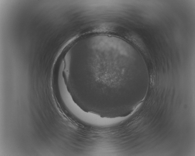 X0000063440724200602031740