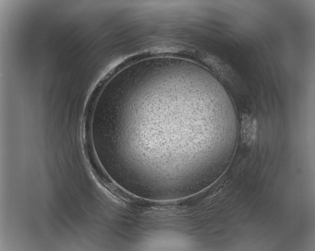 X0000063440726200602031740