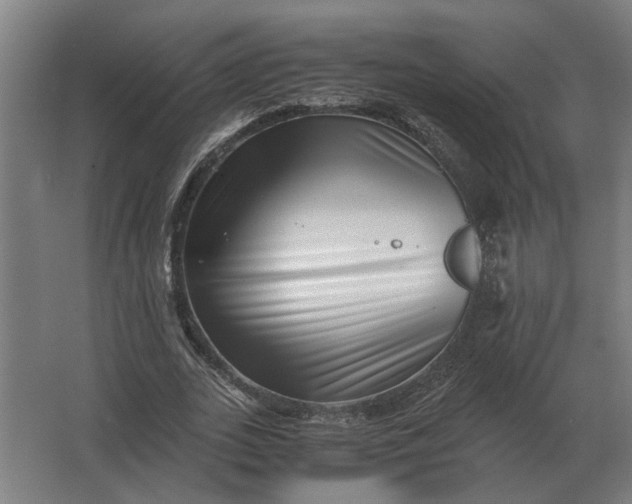 X0000063440727200602031740