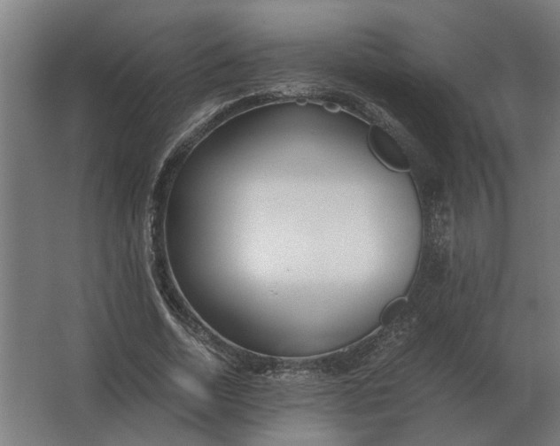 X0000063440730200602031740
