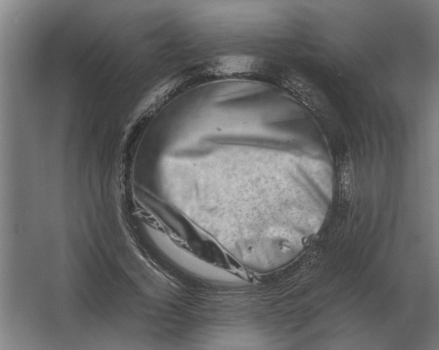 X0000063440732200602031741