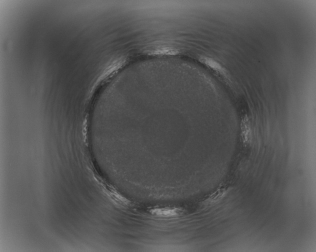 X0000063440735200602031741