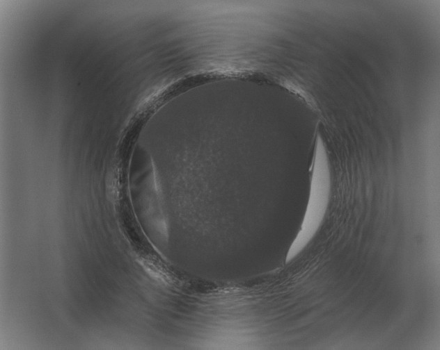 X0000063440736200602031741