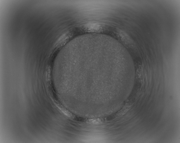 X0000063440744200602031741